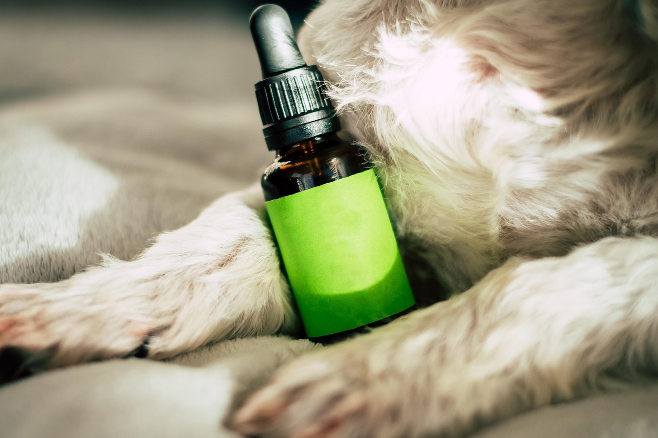 Expert Tips on How to Buy Pure CBD Oil Safely and Effectively in 2025