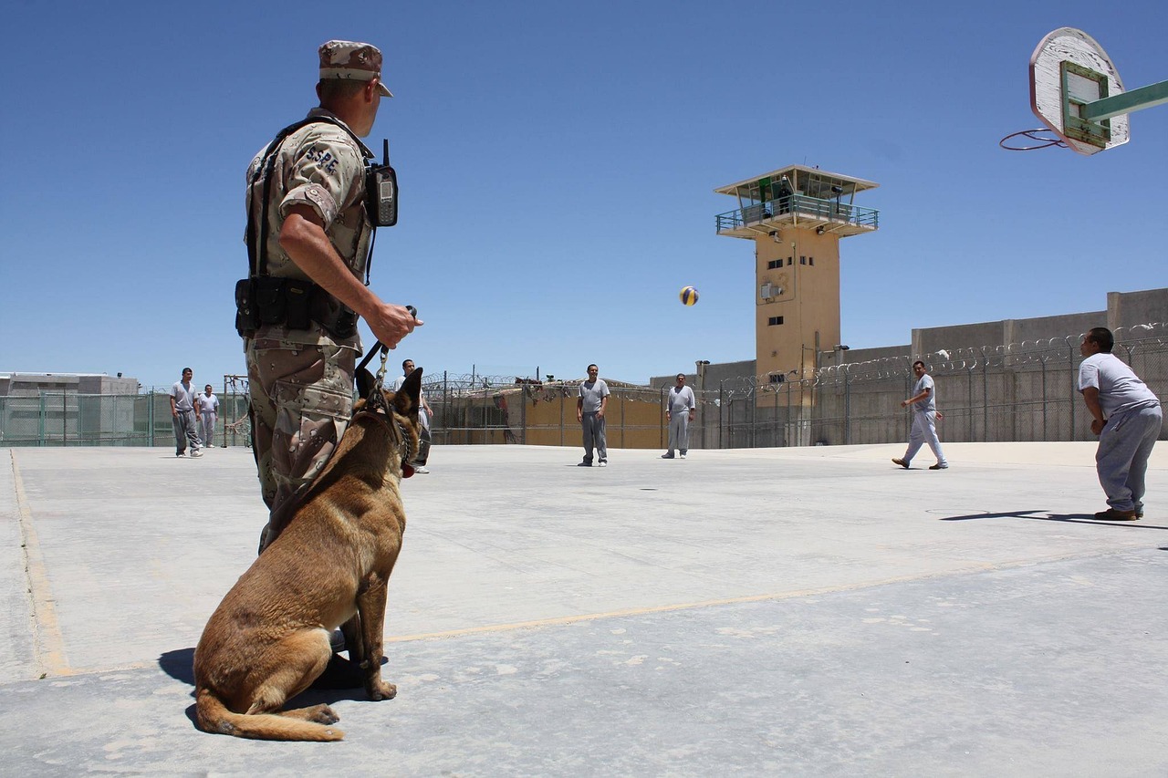 Top 5 Benefits of Hiring Security Guard Services