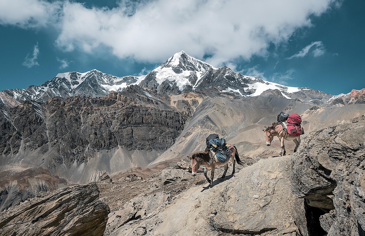 How to Optimize Your HPE Load Balancer for Better Performance?