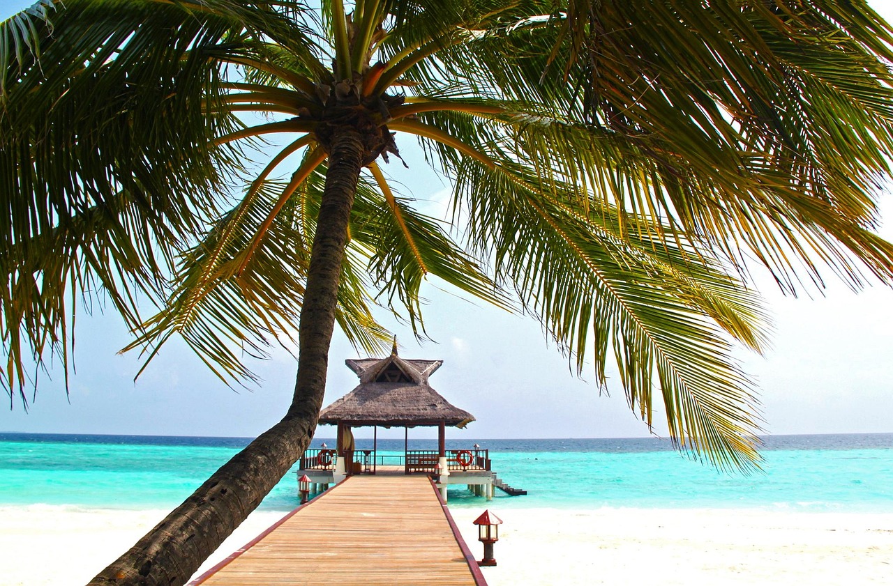 What To Expect At A Bar In The Maldives: A Guide For Tourists
