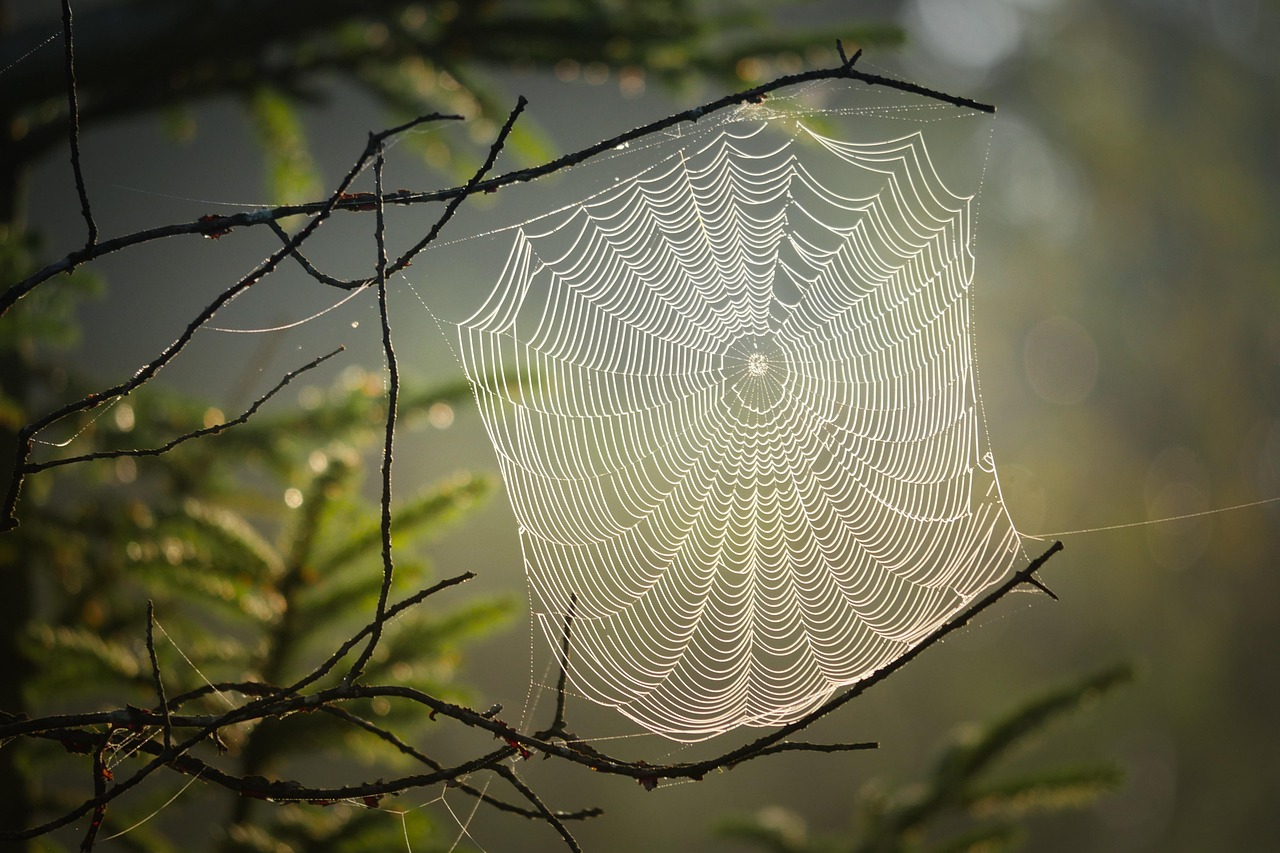 Top 5 Benefits Of Using An Application Load Balancer In Modern Web Infrastructure