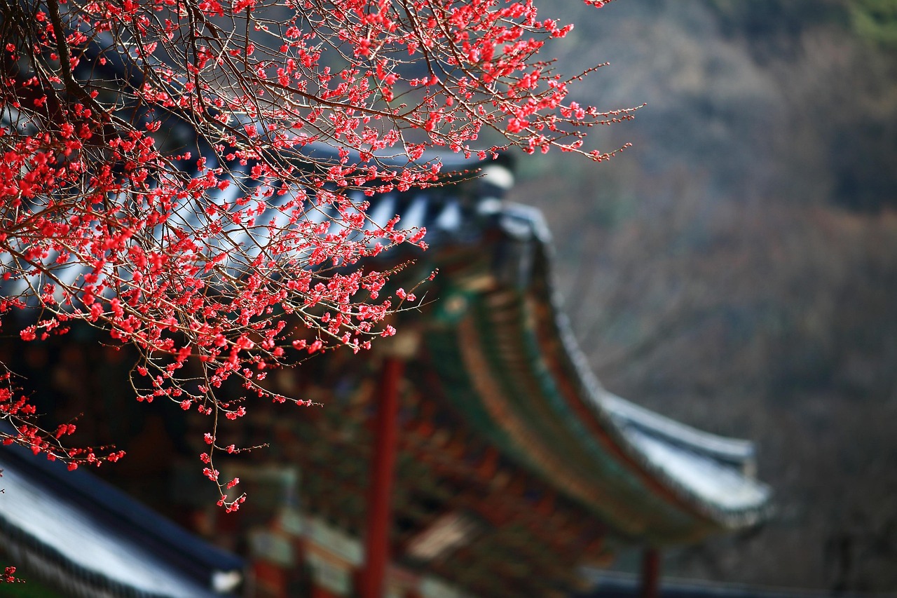 What You Need to Know About Certified Korean Translation?