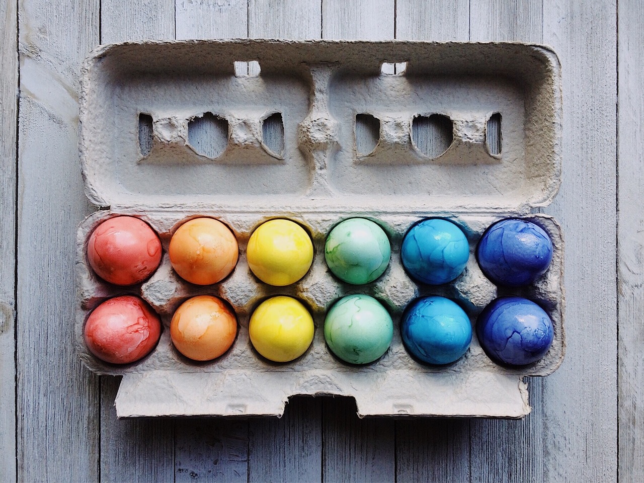How To Choose The Right Egg Donor Program For Your Needs?