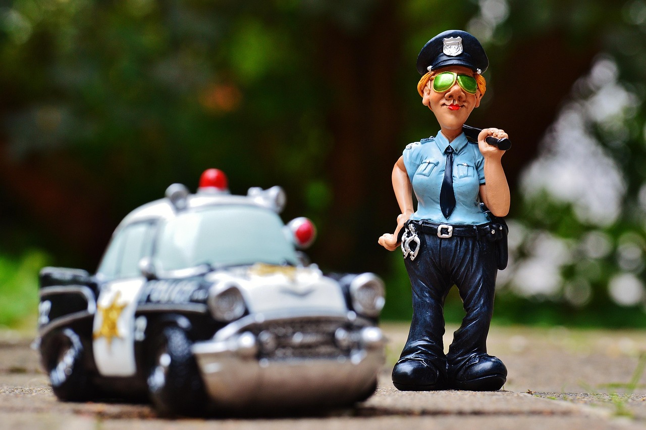 5 Signs You Need a Police K9 Expert Witness