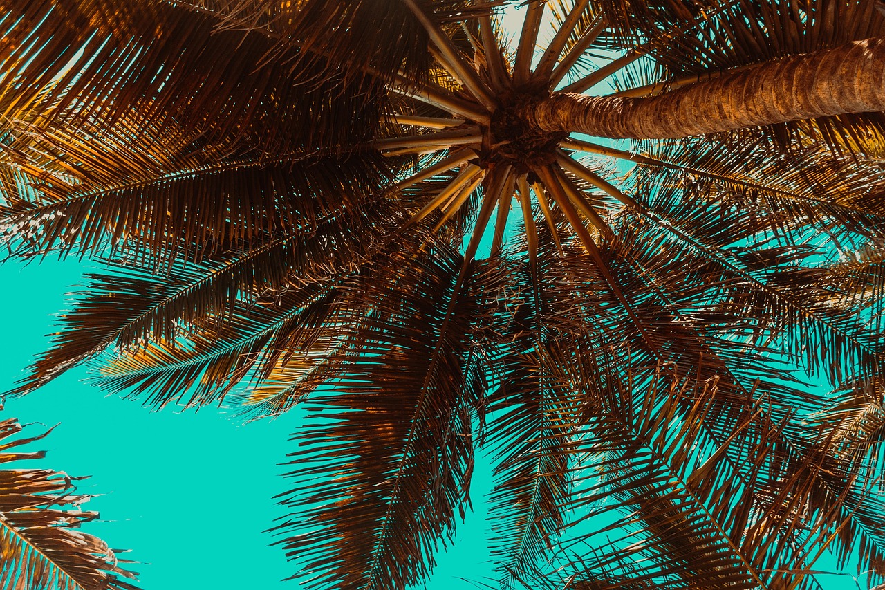 How to Attract Buyers for Your Palm Park Property?