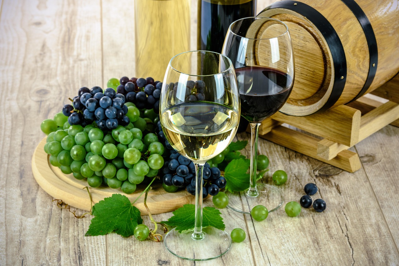 Private Wine Tasting Napa: O’Brien Estate’s Exclusive Experience