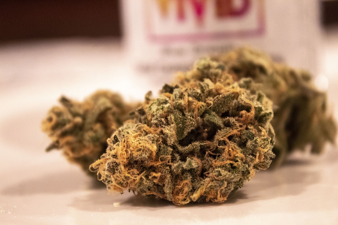 Hash Burger Weed Strain: What to Expect?