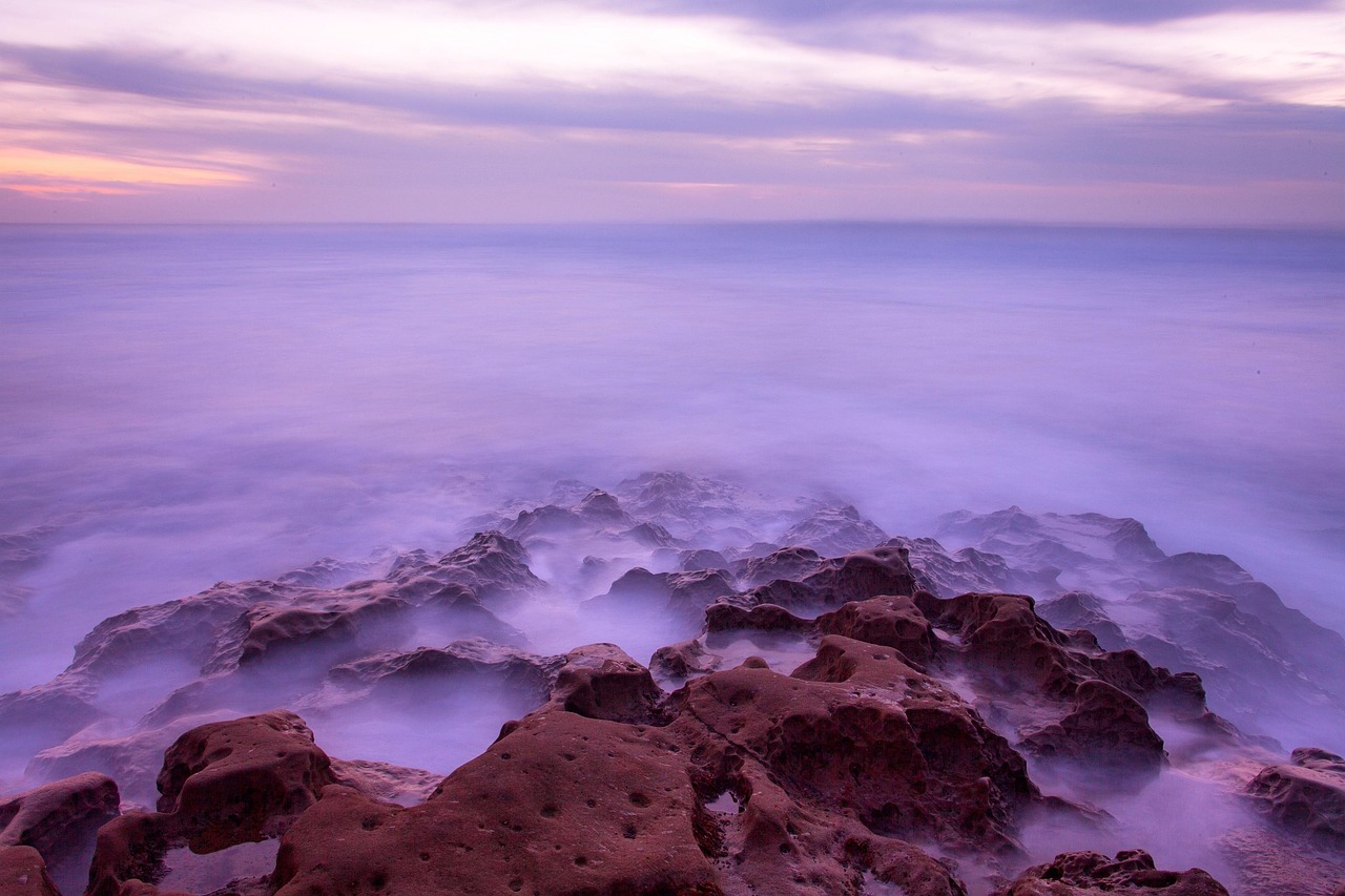 Navigating the San Diego Egg Donor Matching Process: Your Complete Guide