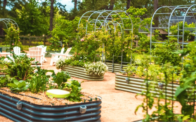 raised garden beds for sale