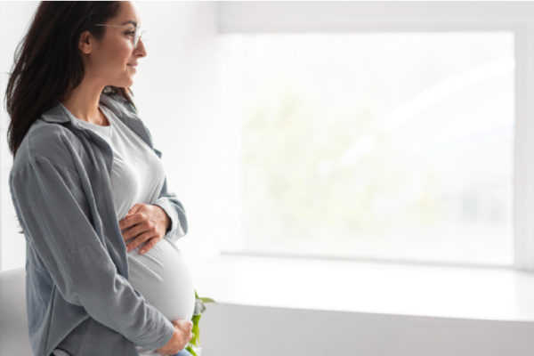 best gynecologist noida