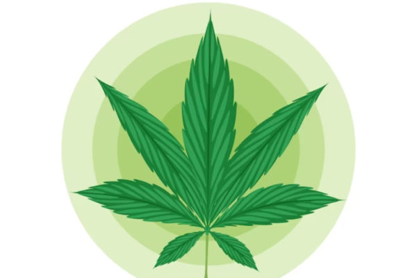 medical marijuana card