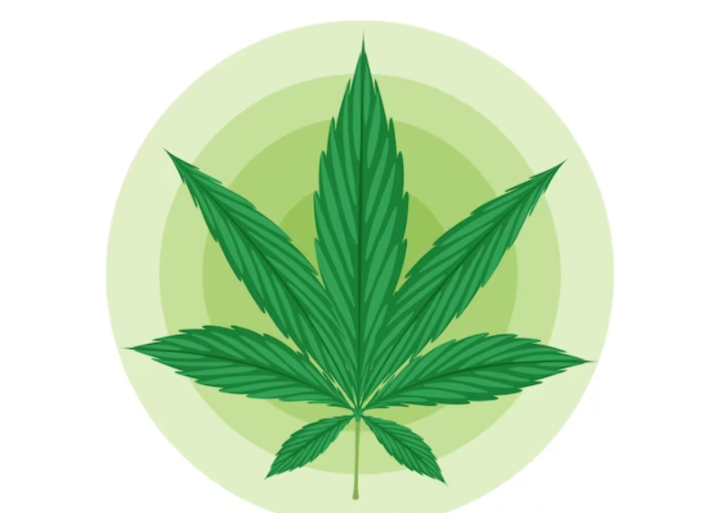 medical marijuana card