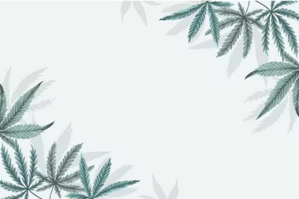 medical marijuana card