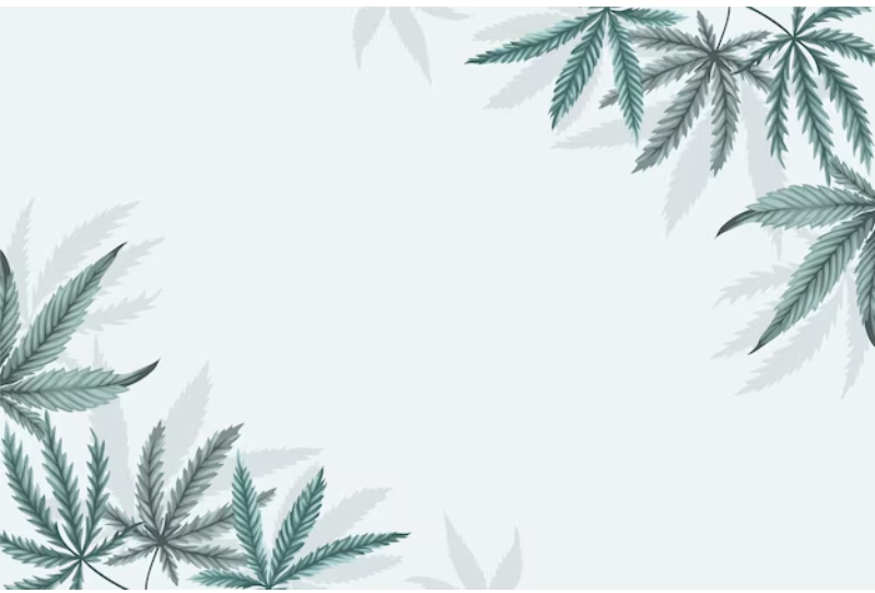 medical marijuana card
