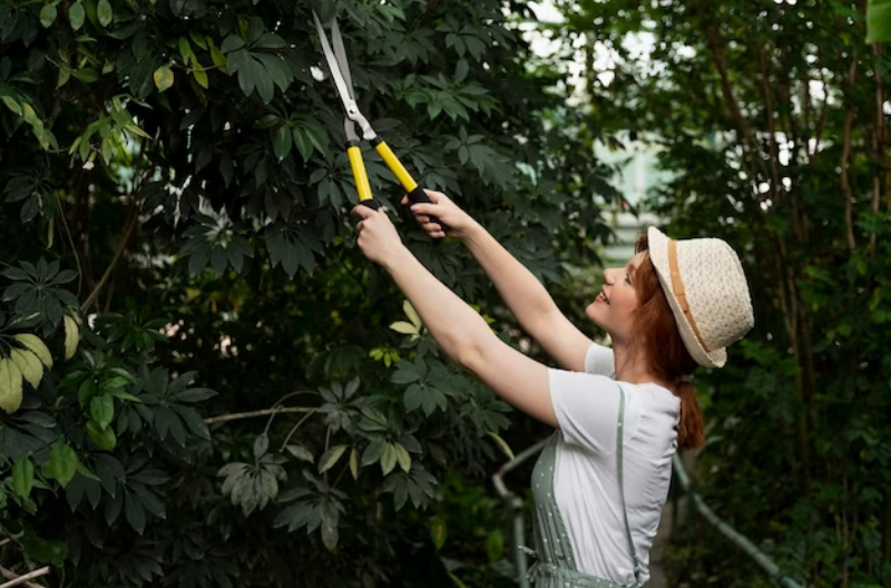tree care services