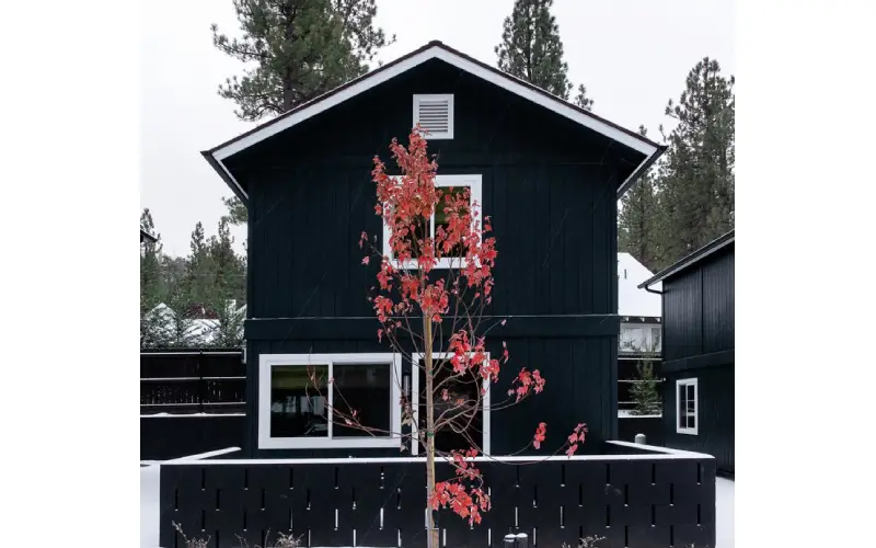 California cabin rentals