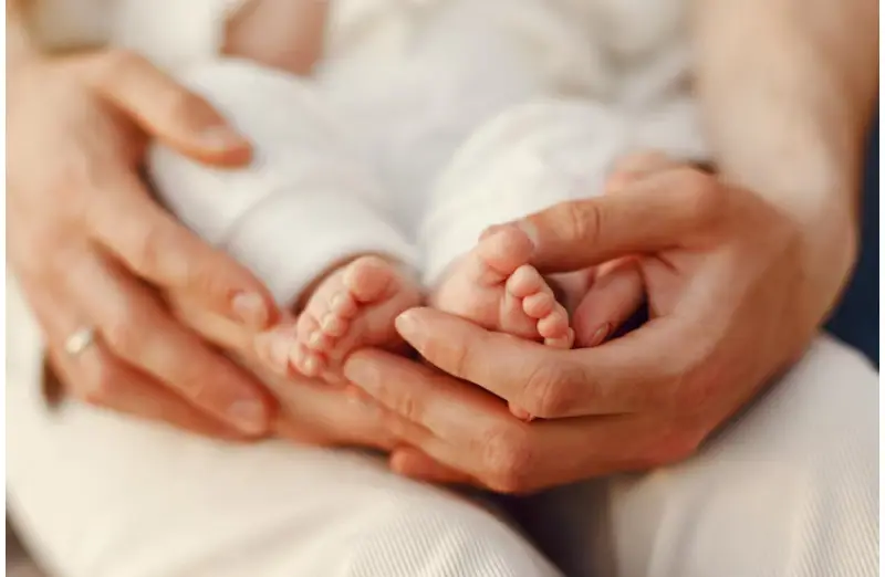 Egg donation san diego