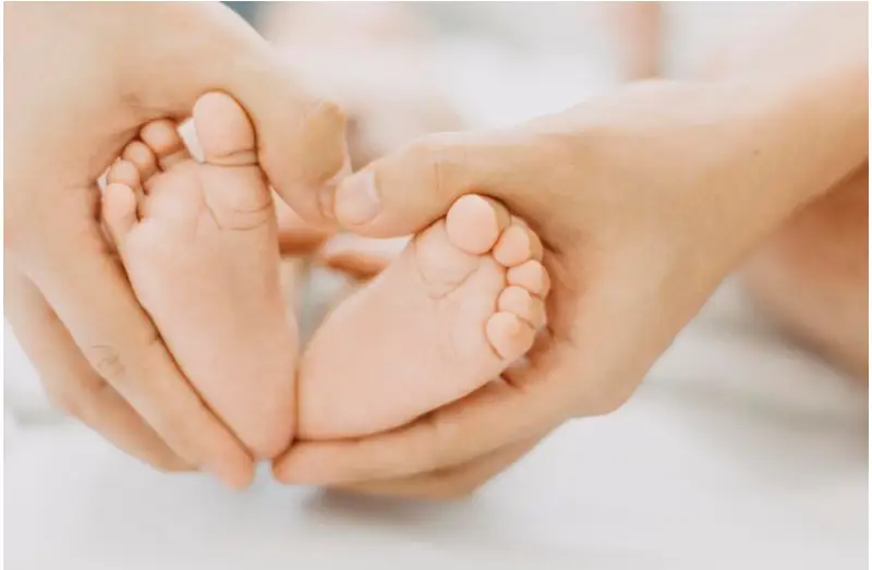 Egg donation san diego
